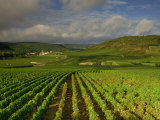Buy Landscape of Vineyards and Hills Near Beaune, Burgundy, France, Europe at AllPosters.com