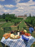 Buy Table Set with a Picnic Lunch in a Vineyard in Aquitaine, France, Europe at AllPosters.com
