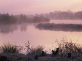 Buy Moor Green Lakes Nature Reserve, Finchamstead, Berkshire, England, UK at AllPosters.com
