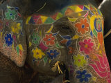 Buy Painted Elephant, Used for Transporting Tourists, Amber Palace, Jaipur, Rajasthan, India at AllPosters.com