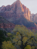 Watchman, Zion National Park, Utah, United States of America, North America
