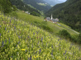 Buy Alpine Wild Flower Meadow, Dolomites, Italy, Europe at AllPosters.com
