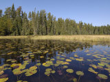 Buy Frost River, Boundary Waters Canoe Area Wilderness, Superior National Forest, Minnesota, USA at AllPosters.com