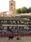 Young Bulls in the Main Square Used as the Plaza De Toros, Chinchon, Comunidad De Madrid, Spain
