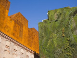 Vertical Garden by Patrick Blanc, Caixa Forum Foundation, Madrid, Spain, Europe