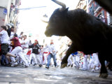 Running of the Bulls, San Fermin Festival, Pamplona, Navarra, Spain, Europe