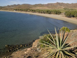 Genoveses Beach, Cabo De Gata, Almeria, Andalucia, Spain, Europe