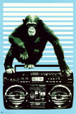 Steez - Monkey Boom Box