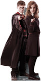 Buy Harry & Hermione at AllPosters.com