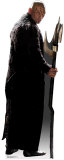 Buy Nero at AllPosters.com