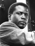 Buy In the Heat of the Night, Sidney Poitier, 1967 at AllPosters.com
