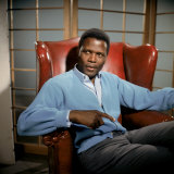 Buy A Patch of Blue, Sidney Poitier, 1965 at AllPosters.com