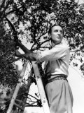Buy Basil Rathbone, c.1944 at AllPosters.com