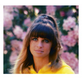 Buy Petulia, Julie Christie, 1968 at AllPosters.com