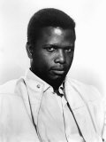 Buy A Patch of Blue, Sidney Poitier, 1965 at AllPosters.com