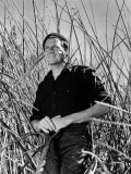 Buy Reaching for the Sun, Joel Mccrea, 1941 at AllPosters.com