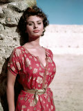Buy Sophia Loren, 1950s at AllPosters.com