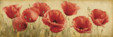 Poppies Grace I