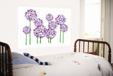 Purple Allium