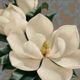 Buy Dolce Magnolia at AllPosters.com