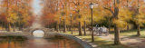 Day in the Park II