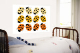 Orange Ladybug Family