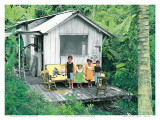 Maile’s Tea Party, Hawaii