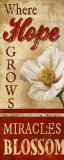 Where Hope Grows