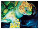 Timeless Wisdom, Hawaiian Sea Turtle