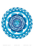 Buy Water Spiral, Hawaiian Humpback Whale Mandala at AllPosters.com