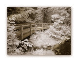 Buy Upper Peninsula I at AllPosters.com