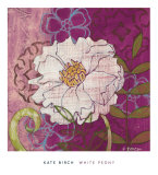 White Peony