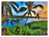Buy Where Da Coconuts Grow, Maui, Hawaii at AllPosters.com