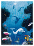 Dolphin Smiles