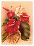 Hawaiian Red and White Anthuriums c.1940s