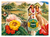 Hawaii USA, 1942 Hawaii Tourist Bureau booklet