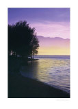 Buy Idyllic Lake IV at AllPosters.com