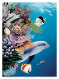 Dolphin’s Reef, Hawaii