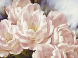 Buy Angelique Tulips at AllPosters.com