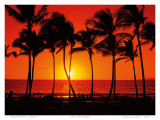Buy Red Hawaiian Sunset at AllPosters.com