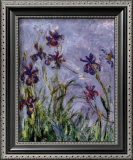 Buy Irises at AllPosters.com
