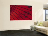 Buy Japanese Red Umbrella, Japan at AllPosters.com