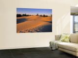 Buy Sahara Desert, Douz,Tunisia at AllPosters.com