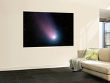 Buy Comet C/2001 Q4 (NEAT) at AllPosters.com