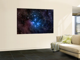 Pleiades, also known as the Seven Sisters