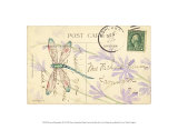 Postcard Dragonfly III