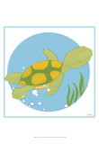 Buy Timothy the Turtle at AllPosters.com