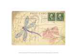 Postcard Dragonfly I