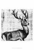 Northwest Territory I
