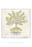 Buy French Topiary I at AllPosters.com
